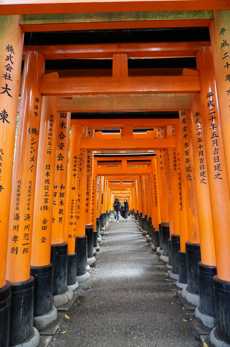 Kyoto: Fushimi-Inari Taisha Shrine, There are <i>thousands</i> of Torii gates