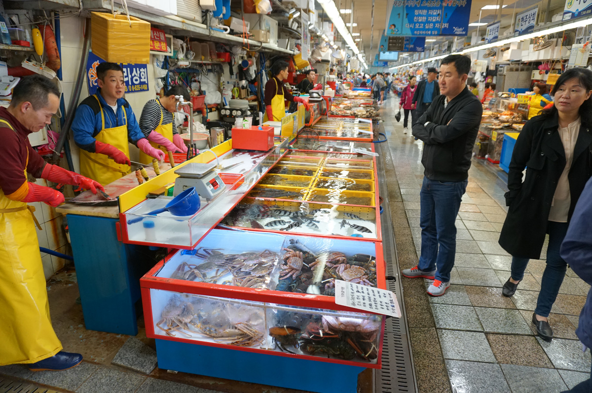 Around Busan, Jagalchi fish market