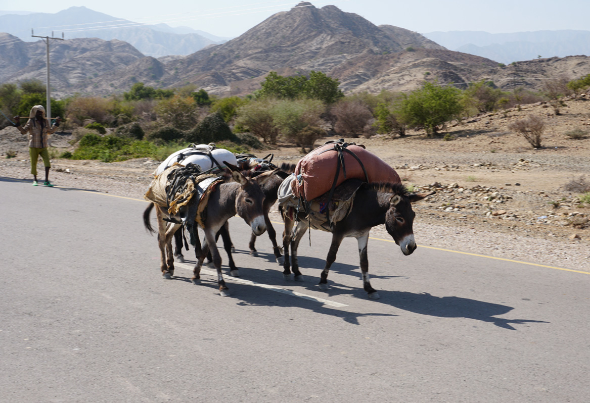 Hamad&nbsp;Ela, Some of Ethiopia