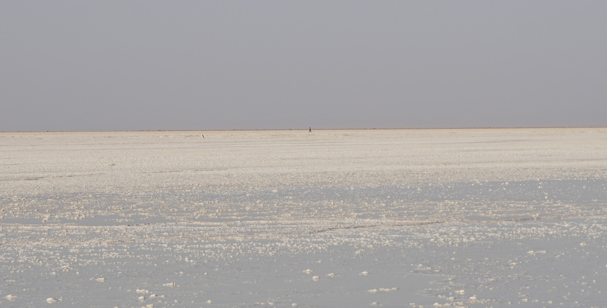 Hamad&nbsp;Ela, Salt flats at Lake Assale