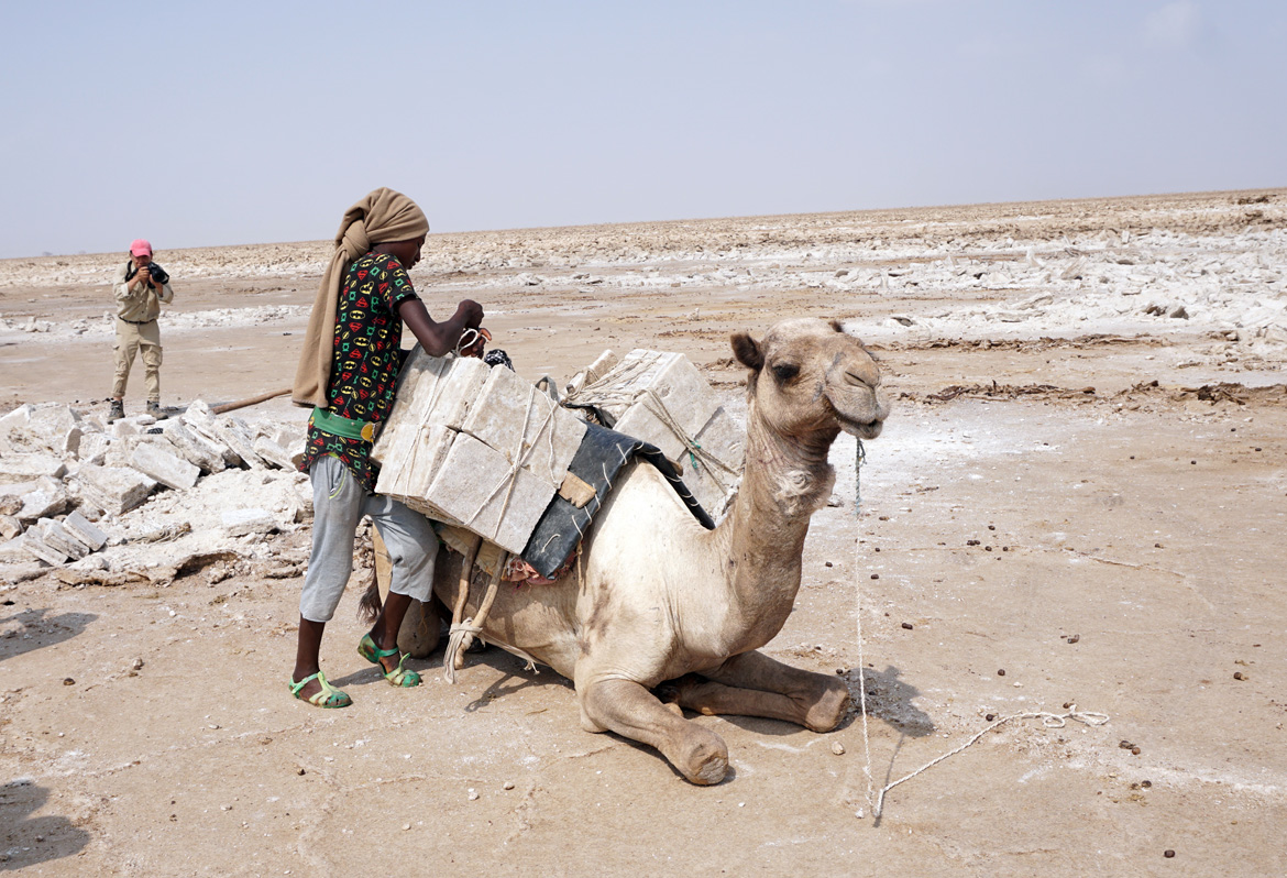 Dallol Salt Mines, Standard camel load