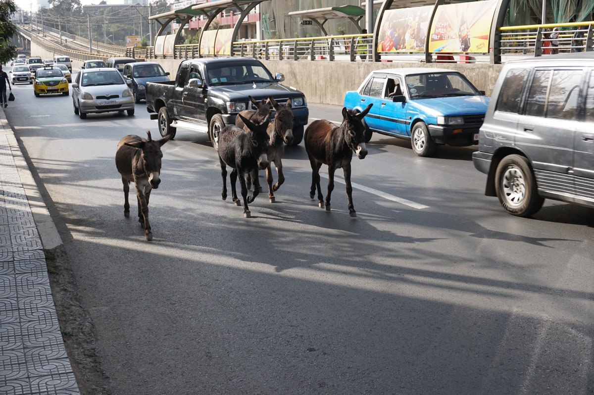 The Derg Monument, Addis traffic