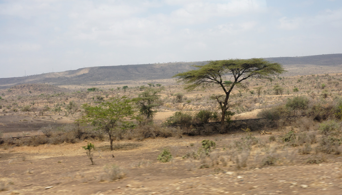 Addis-Djibouti, 118 miles East of Addis Ababa