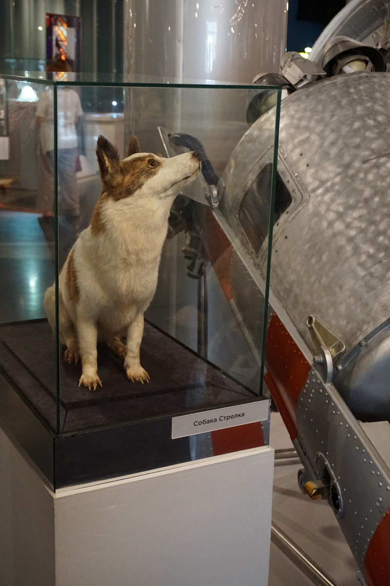 Memorial Museum of Cosmonautics, Strelka
