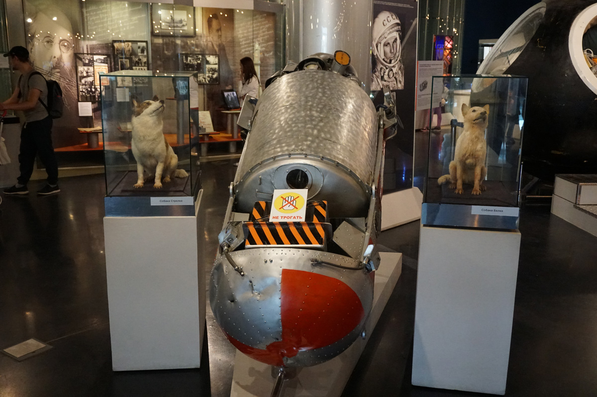 Memorial Museum of Cosmonautics, Belka, Strelka, and return capsule. (But RSC Energia claim to have the original.)