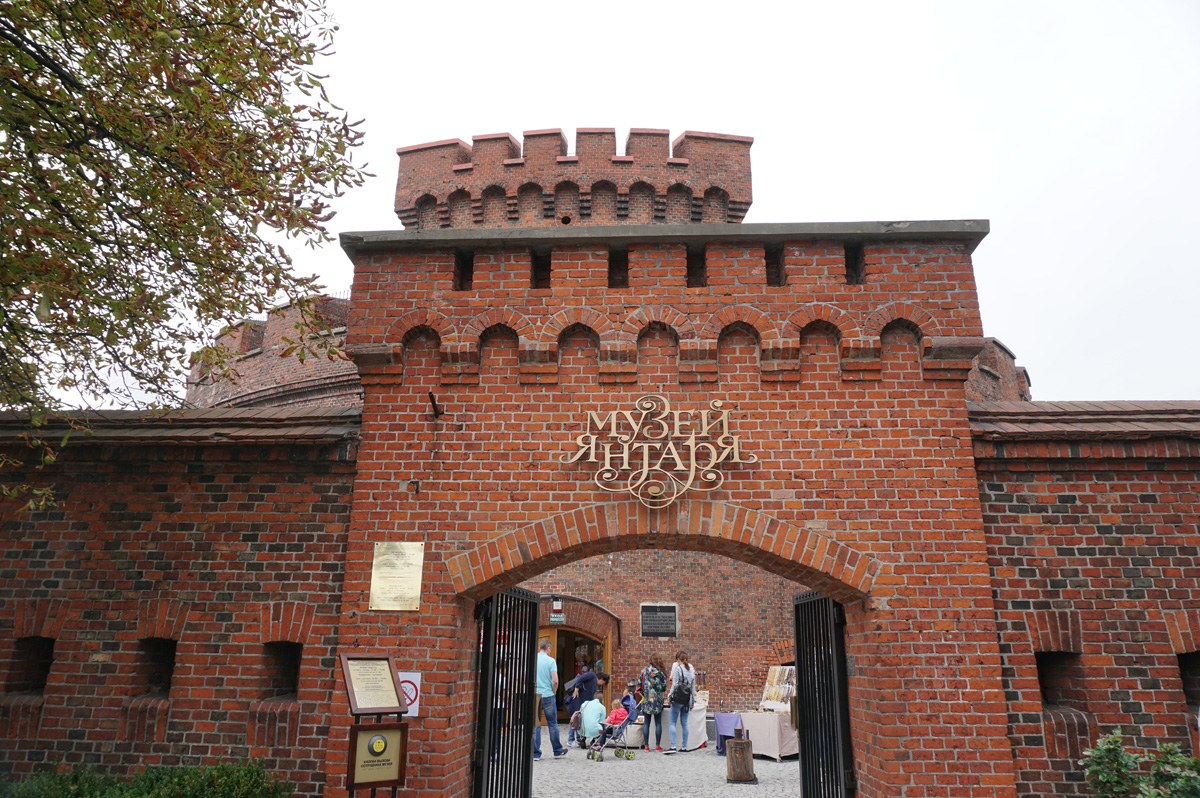 Kaliningrad Amber Museum, Amber Museum