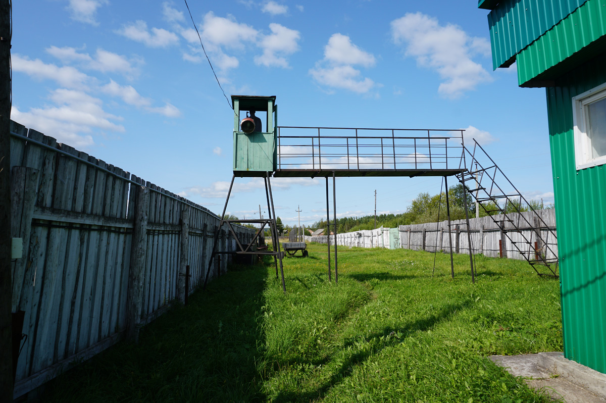 Perm-36