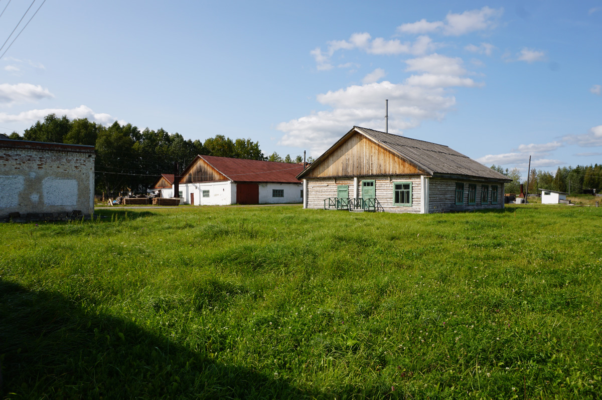 Perm-36