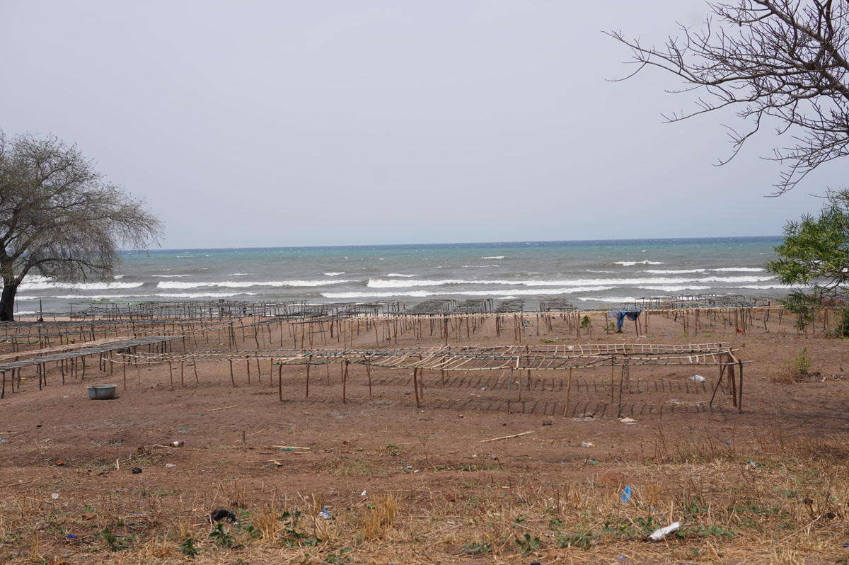 Nkhata Bay, 74 miles North of Nkhata Bay: Tables used to sun-dry fish