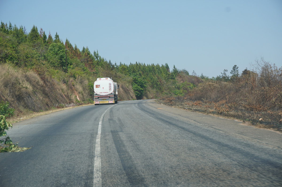 Nkhata Bay, Unexpected forest: 27 miles West of Nkhata Bay