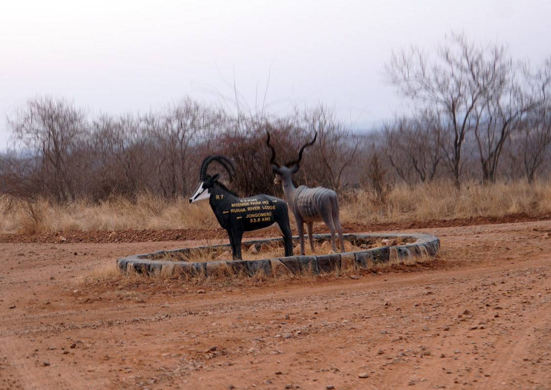 Ruaha National Park, Antelope Signposts