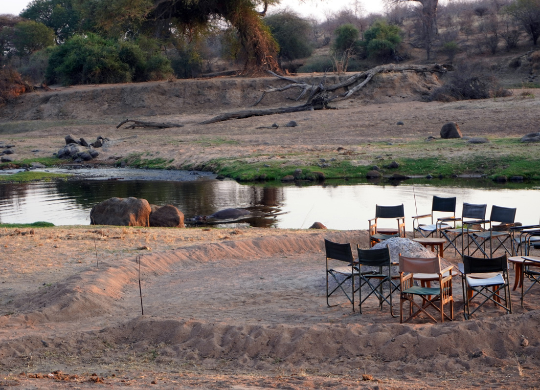 Ruaha National Park, Hippo by the lodge fire