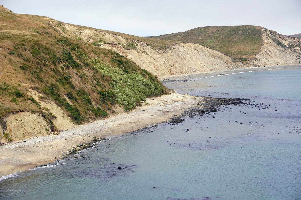 Point Reyes National Seashore, Elephant Seals Beach But only a couple of seals.