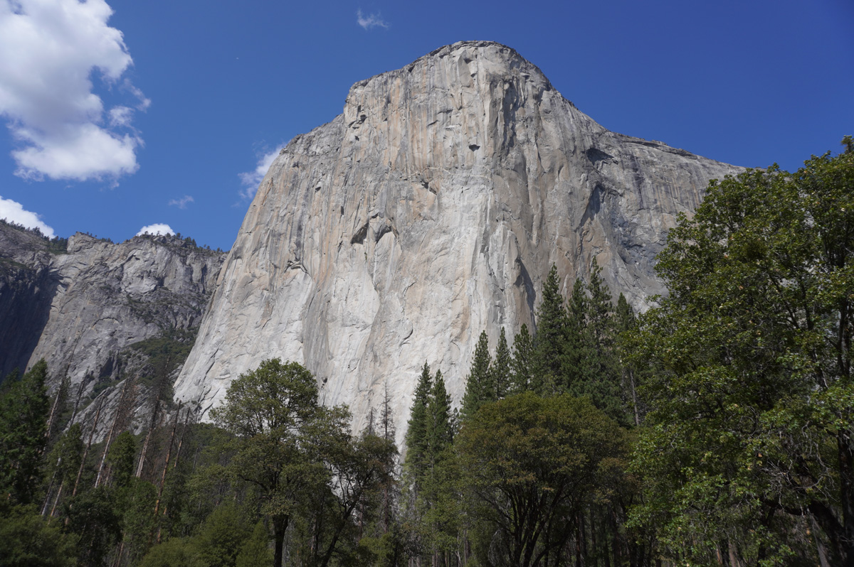 Day Two: Yosemite Point + Valley Views, El Capitan