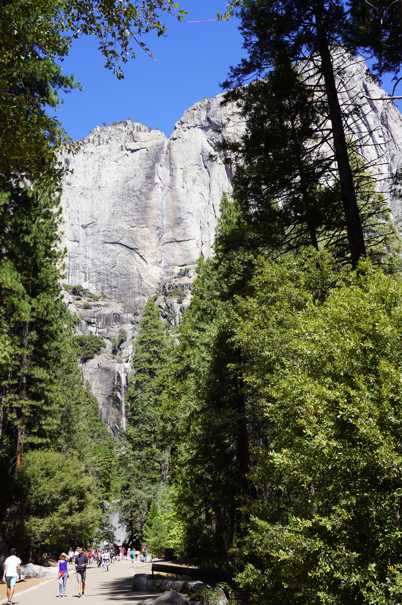 Day Three: Glacier Point + Valley Views, The path to Lower Yosemite Falls