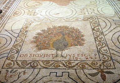 Crypt mosaic, Florence Duomo, Italy++ January 2019