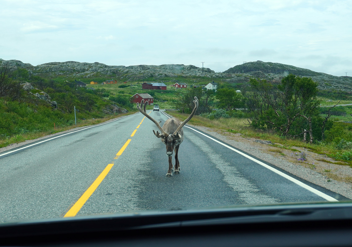 Kirkenes to Nordkapp
