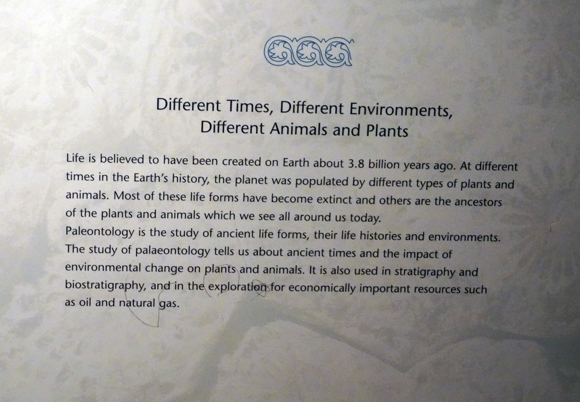 Riyadh: National Museum, "Different Times ... Different Animals and Plants"