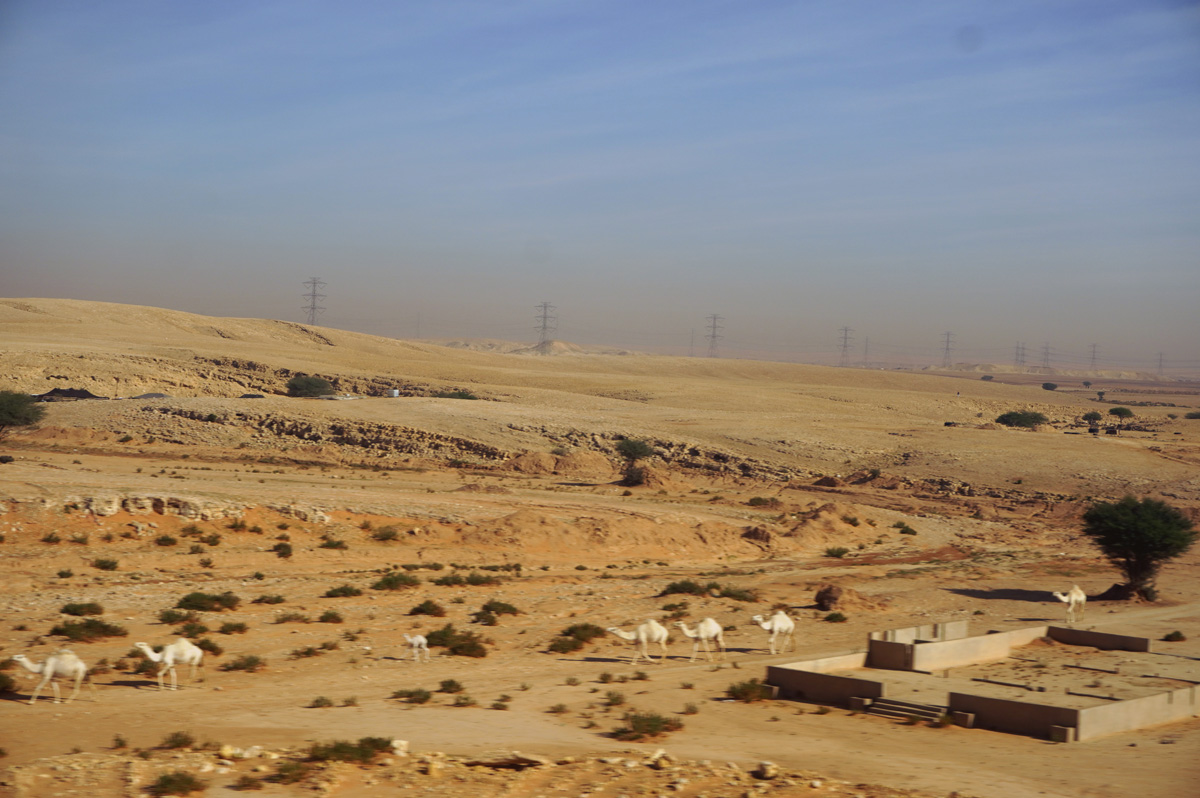 Riyadh to Buraidah, 28 miles North of Riyadh