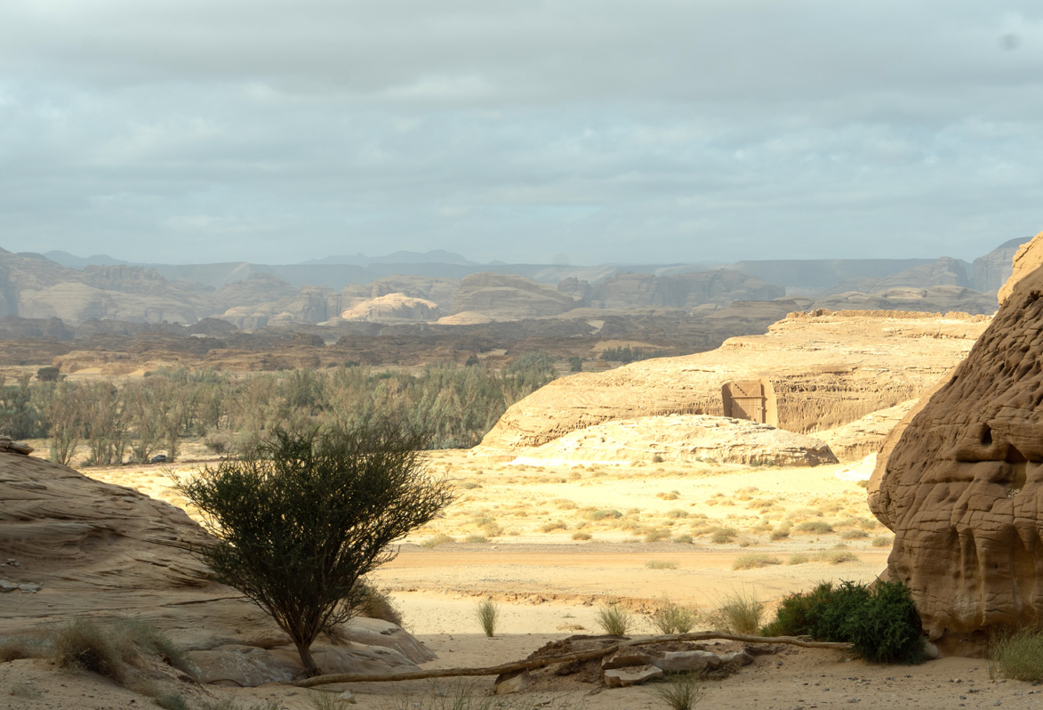 Madain Saleh: Jabal Ithlib, Jabal Ithlib: View down to green farmland