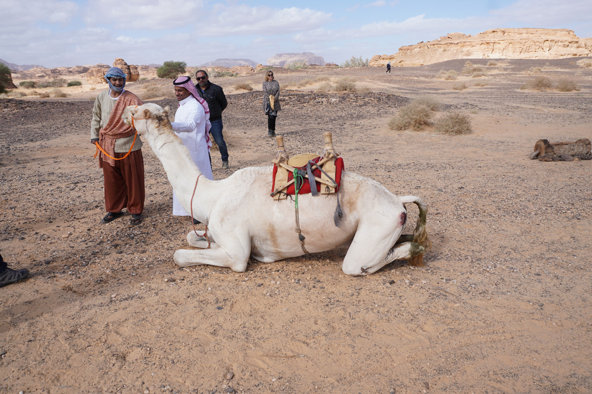 Madain Saleh: Immersive Play