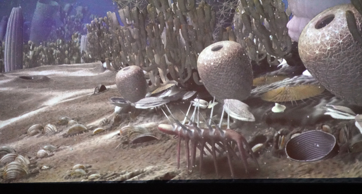 Chicago: The Field Museum, Cambrian Aquarium: Hallucigenia