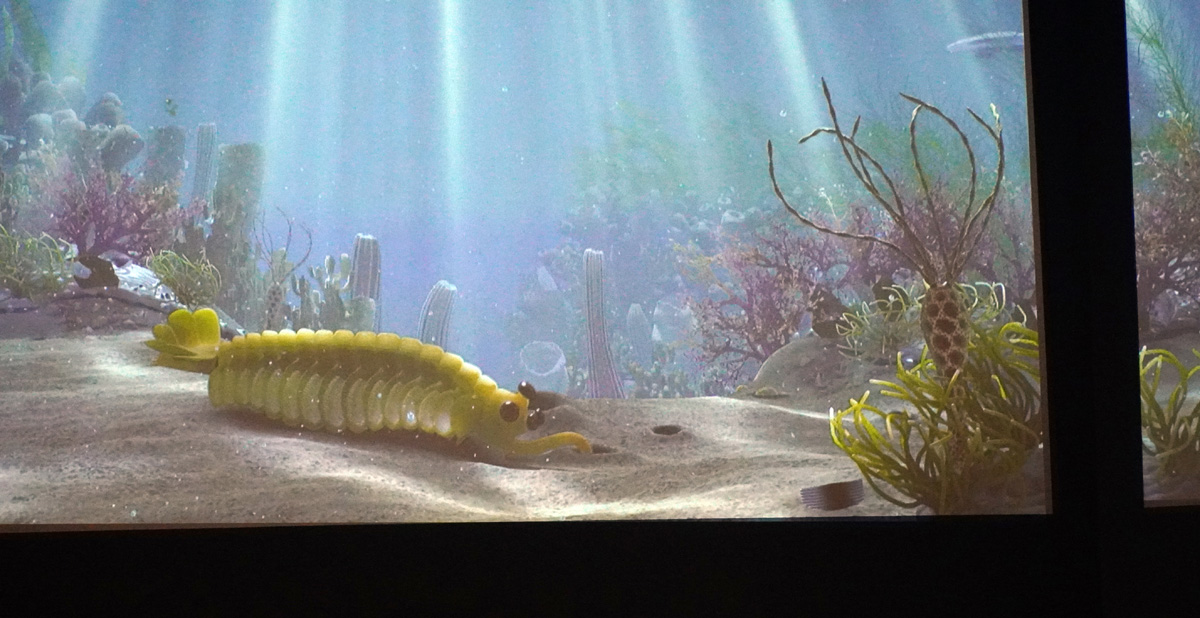 Chicago: The Field Museum, Cambran Aquarium: Opabinia
