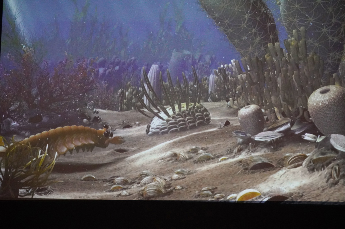 Chicago: The Field Museum, Cambrian Aquarium
