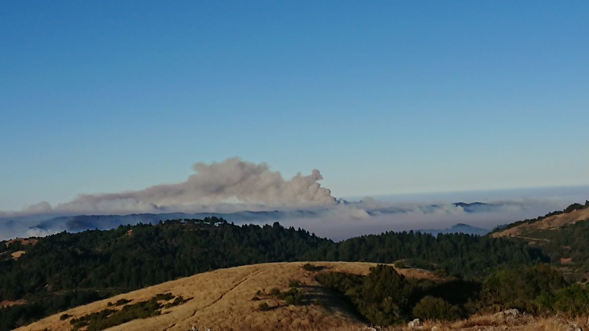 Pandemic March-November, Aug 20th: Wildfires from Black Mountain