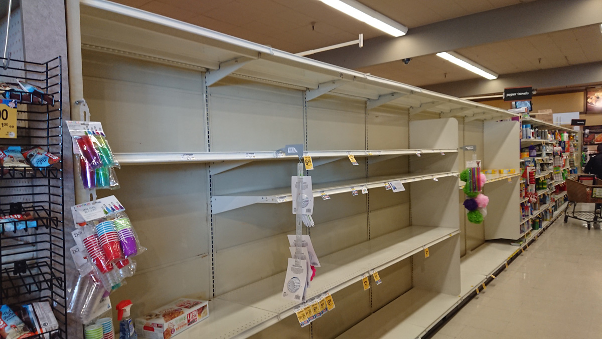 Pandemic, No Toilet Rolls or Paper Towels in sight