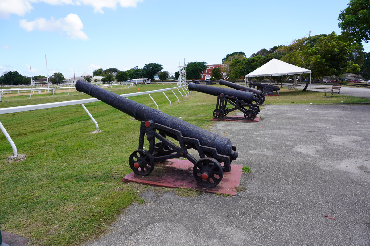 Barbados: Garrison Savannah area, Elderly Cannon