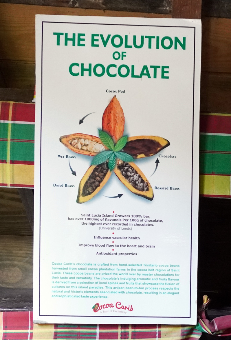 St Lucia: Trip to Soufriere, How cocoa beans are processed