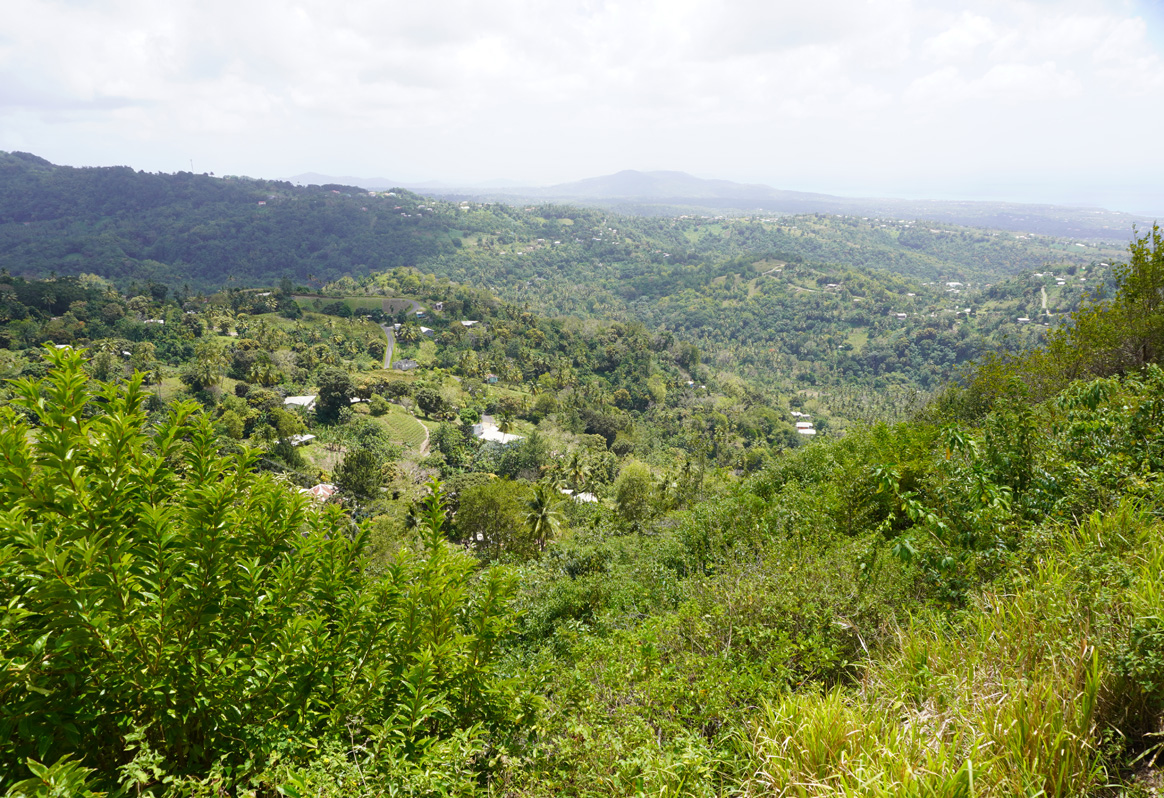 St Lucia: Trip to Soufriere, Inland view