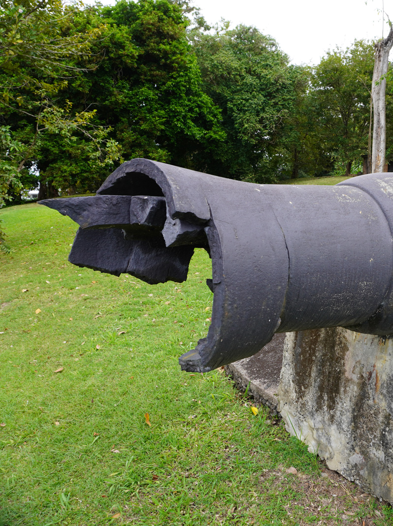 St Lucia: Around Castries, Castries: Apostles battery