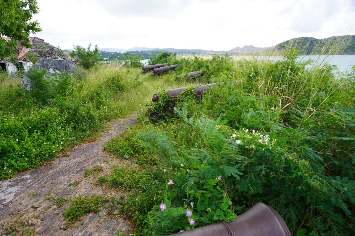 Antigua: Fort James, Overgrown cannon