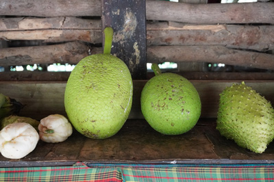 Ripe green breadfruit, St Lucia: Trip to Soufriere, 2020 Caribbean (Spring)