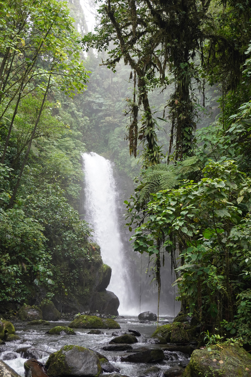 Costa Rica: La Paz Waterfall Gardens