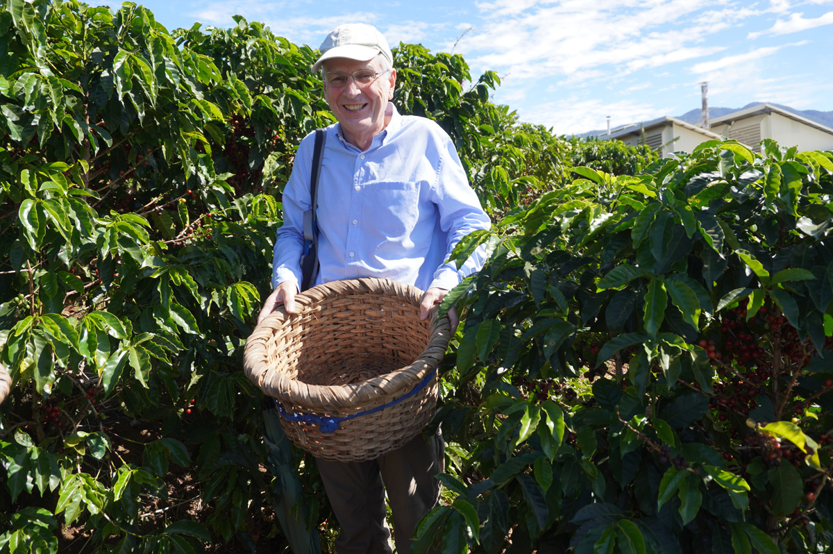 Costa Rica: Hacienda Alsacia, Collecting beans!