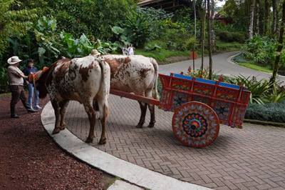 Traditional ox cart, Costa Rica: La Paz Waterfall Gardens, Costa Rica, January 2020