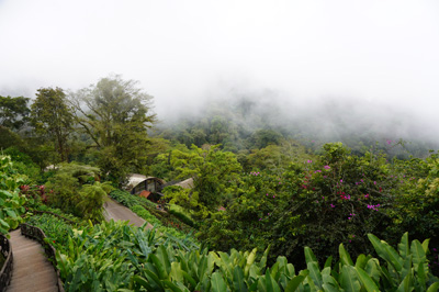 Costa Rica: La Paz Waterfall Gardens, Costa Rica, January 2020