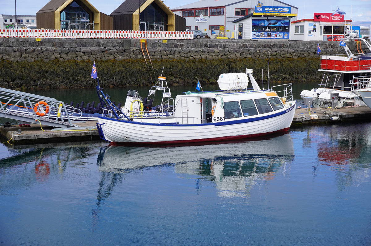 Reykjavik: Puffin Cuise, Puffin cruise boat