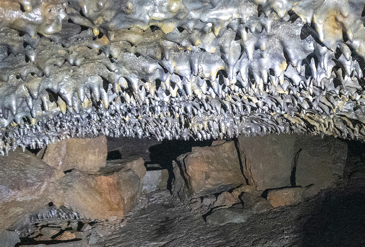 Leiðarendi Lava Tubes, Tiny lava stalagtites on ceiling.