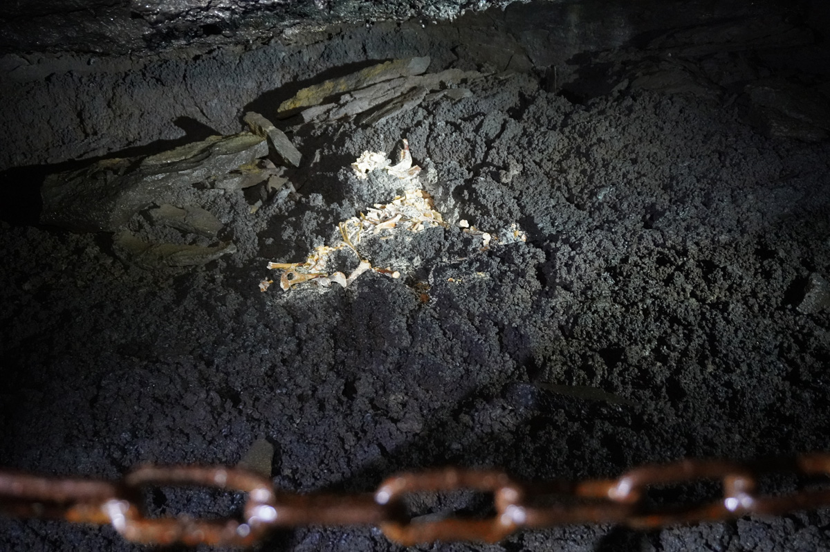 Leiðarendi Lava Tubes