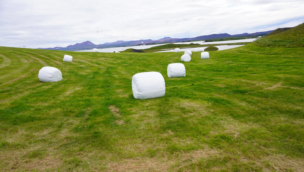 Skútustaðagígar Pseudo Craters, Bundled hay: A very common sight