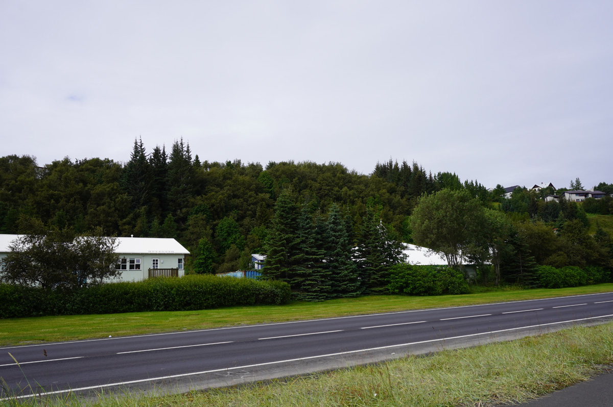 Akureyri, Trees (!) in Akureyri