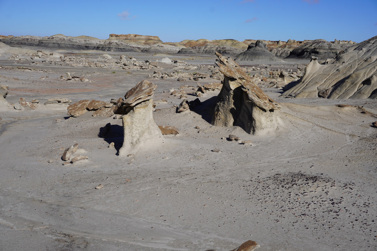 Bisti/De-Na-Zin Wilderness