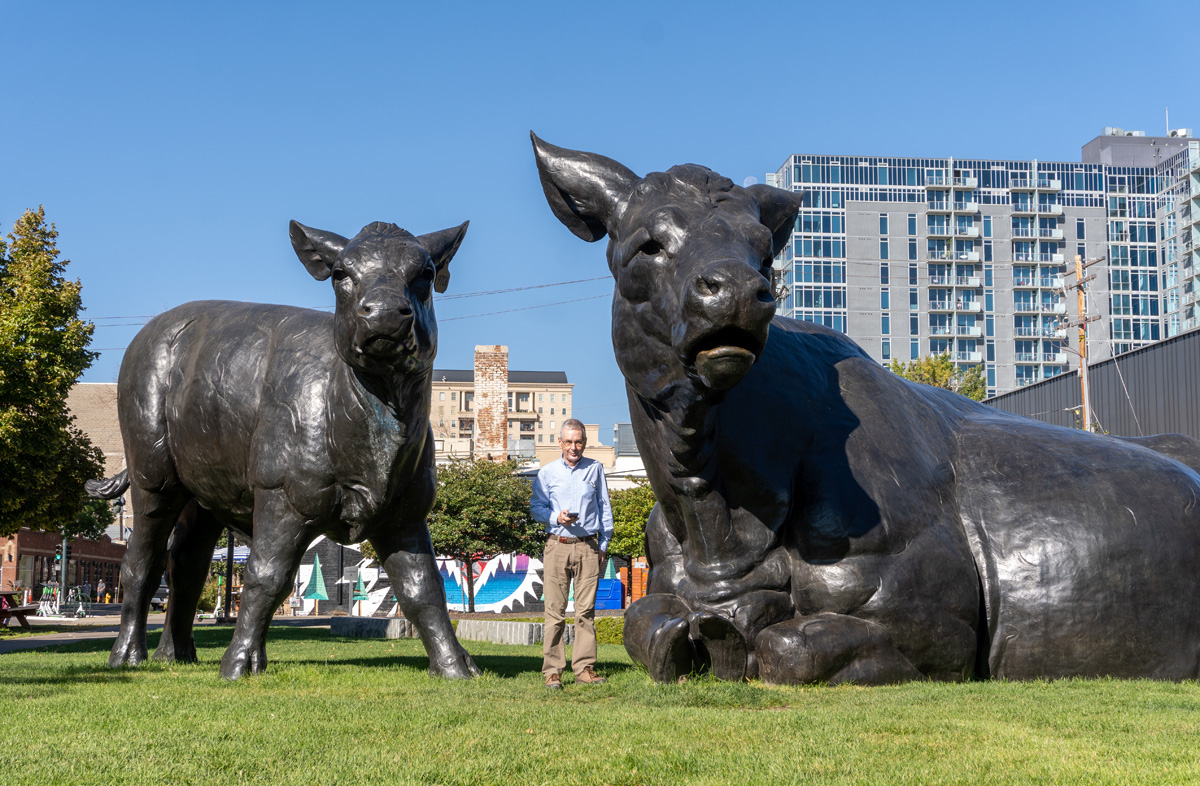 Denver, “Scottish Angus Cow and Calf” + Graham
