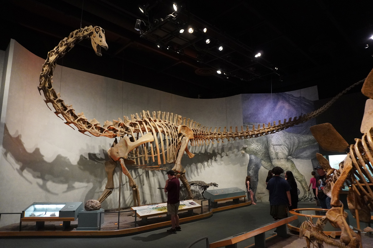 Denver Musuem of Nature and Science