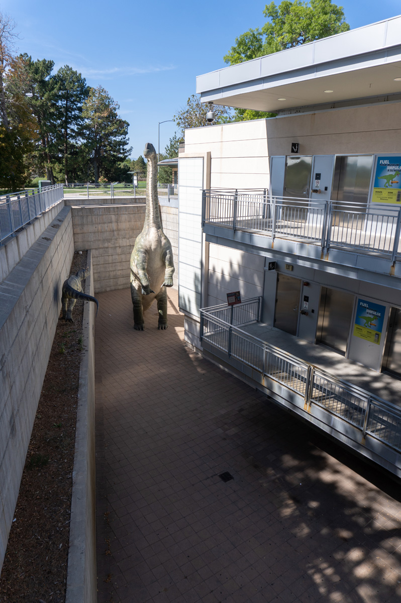 Denver Musuem of Nature and Science, Dinosaur Paddock