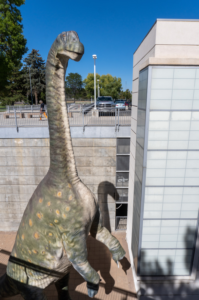 Denver Musuem of Nature and Science